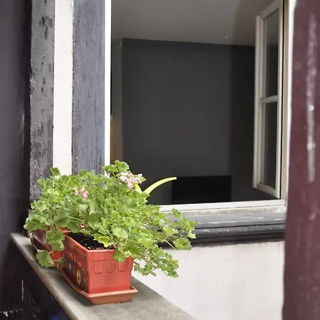 Appartement Centre Epine Strasbourg
